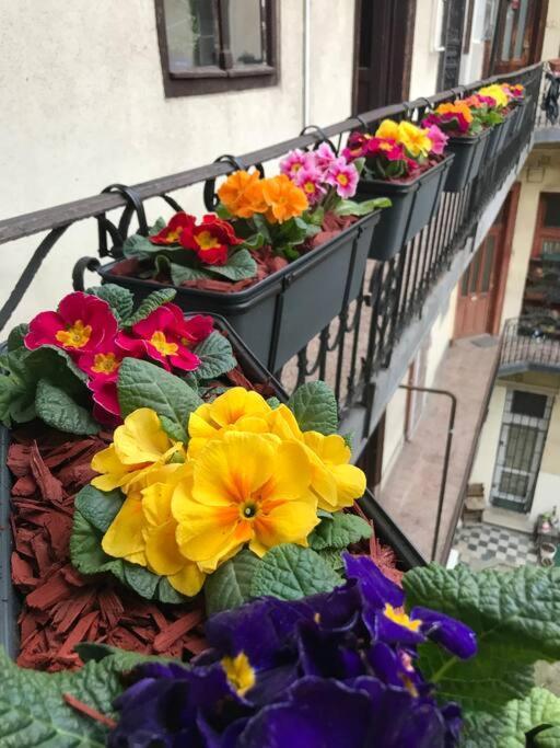 Perfect Location,Newly Decorated Modern, Large Place 60 M2, Really Quiet So You Can Have A Good Night Sleep, Ac, Netflix, Smart Tv, High-Speed Internet, World Famous New York Cafe Only 10 Minutes Walk 布达佩斯 外观 照片