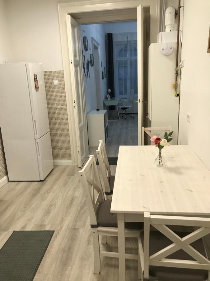 Perfect Location,Newly Decorated Modern, Large Place 60 M2, Really Quiet So You Can Have A Good Night Sleep, Ac, Netflix, Smart Tv, High-Speed Internet, World Famous New York Cafe Only 10 Minutes Walk 布达佩斯 外观 照片